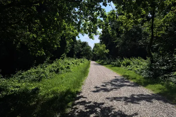 stock image Gravel path in a park