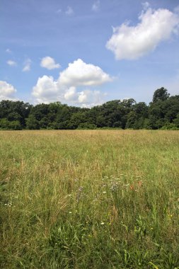 Güneşli bir günde ekilmemiş tarla
