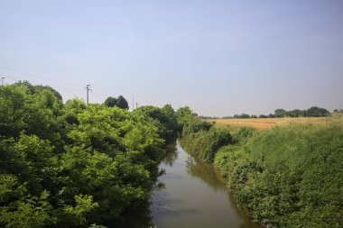 Güneşli bir günde, ağaçların ortasında bir dere.