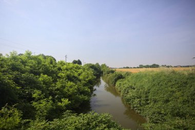 Güneşli bir günde, ağaçların ortasında bir dere.