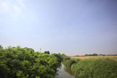 Güneşli bir günde, ağaçların ortasında bir dere.