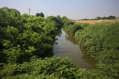 Güneşli bir günde, ağaçların ortasında bir dere.