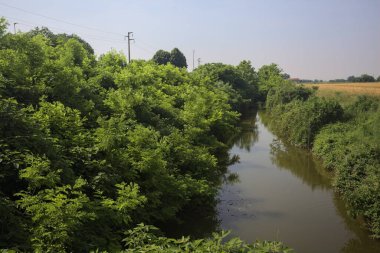 Güneşli bir günde, ağaçların ortasında bir dere.