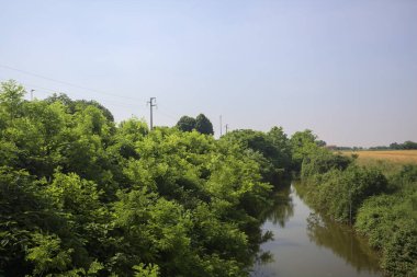Güneşli bir günde, ağaçların ortasında bir dere.
