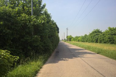 güneşli bir köy yolunda