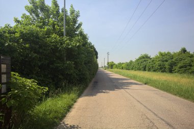 güneşli bir köy yolunda