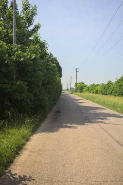 güneşli bir köy yolunda