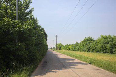 güneşli bir köy yolunda