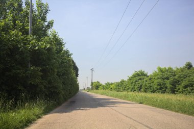 güneşli bir köy yolunda