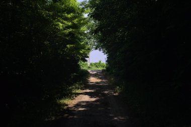 Güneşli bir günde gölgede toprak yol