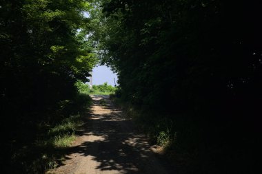 Güneşli bir günde gölgede toprak yol