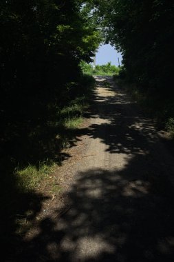Güneşli bir günde gölgede toprak yol