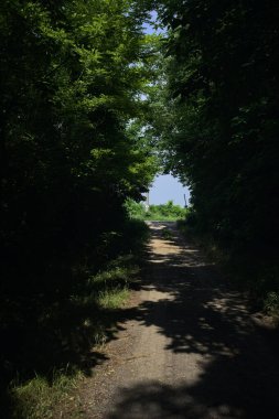 Güneşli bir günde gölgede toprak yol