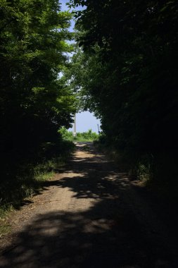 Güneşli bir günde gölgede toprak yol