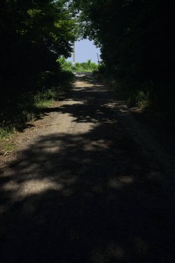 Güneşli bir günde gölgede toprak yol