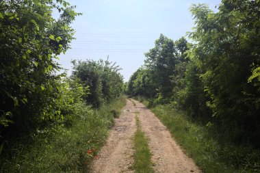 İtalya kırsalında güneşli bir günde yol