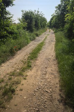 İtalya kırsalında güneşli bir günde yol