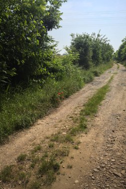 İtalya kırsalında güneşli bir günde yol