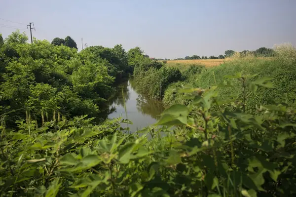 Güneşli bir günde, ağaçların ortasında bir dere.