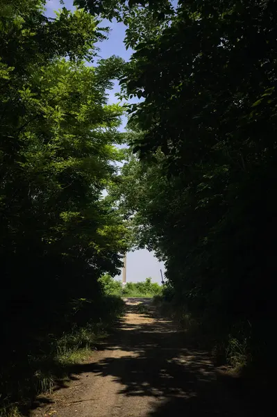 Güneşli bir günde gölgede toprak yol