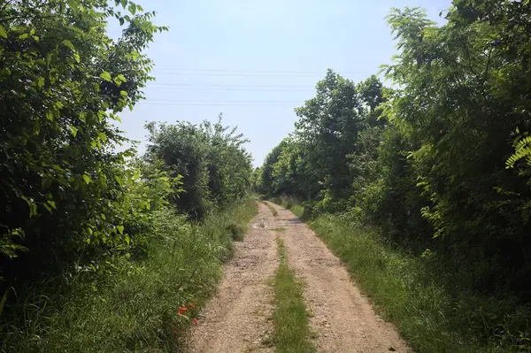 İtalya kırsalında güneşli bir günde yol