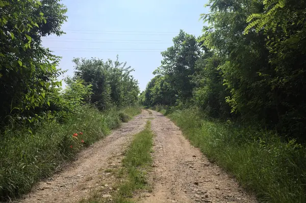 İtalya kırsalında güneşli bir günde yol