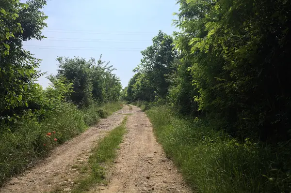 İtalya kırsalında güneşli bir günde yol
