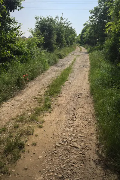 İtalya kırsalında güneşli bir günde yol