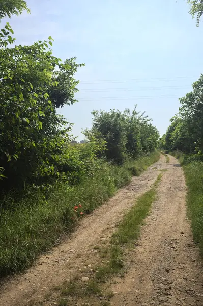 İtalya kırsalında güneşli bir günde yol