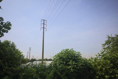 Güneşli bir günde tarlada elektrik hattı