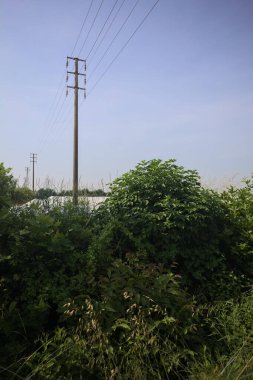 Güneşli bir günde tarlada elektrik hattı