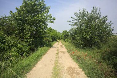 İtalya kırsalında güneşli bir günde yol