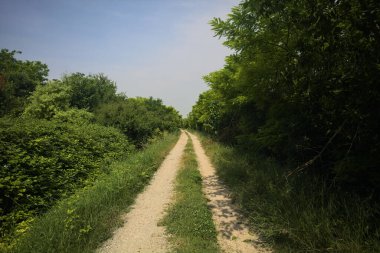 İtalya kırsalında güneşli bir günde yol