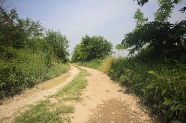 İtalya kırsalında güneşli bir günde yol