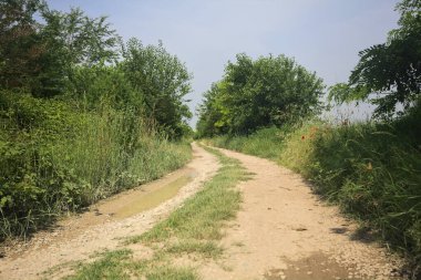 İtalya kırsalında güneşli bir günde yol