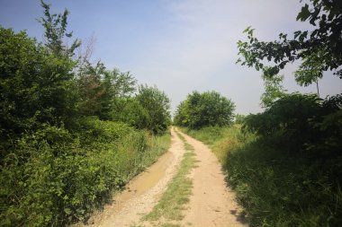 İtalya kırsalında güneşli bir günde yol