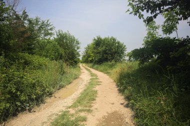 İtalya kırsalında güneşli bir günde yol