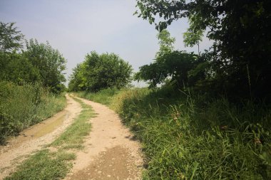 İtalya kırsalında güneşli bir günde yol