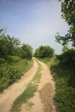 İtalya kırsalında güneşli bir günde yol