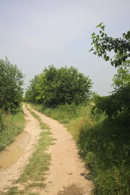 İtalya kırsalında güneşli bir günde yol
