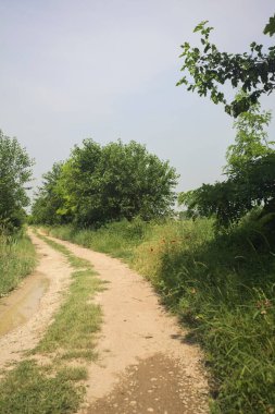 İtalya kırsalında güneşli bir günde yol