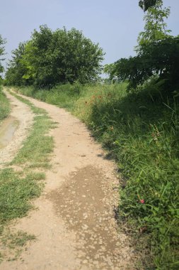 İtalya kırsalında güneşli bir günde yol