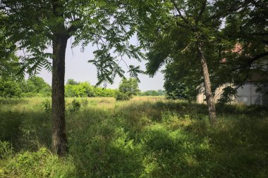 Bir kır evinin ahırı.