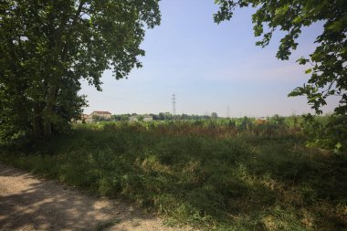 Güneşli bir günde tarlanın yanındaki toprak yolda.