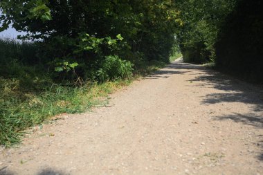 Güneşli bir günde tarlanın yanındaki toprak yolda.