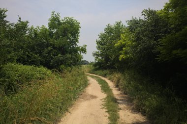 İtalya kırsalında güneşli bir günde yol