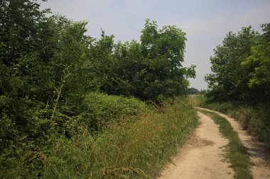 İtalya kırsalında güneşli bir günde yol