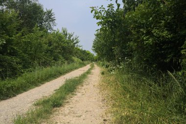 İtalya kırsalında güneşli bir günde yol