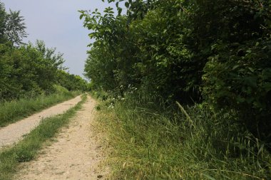 İtalya kırsalında güneşli bir günde yol