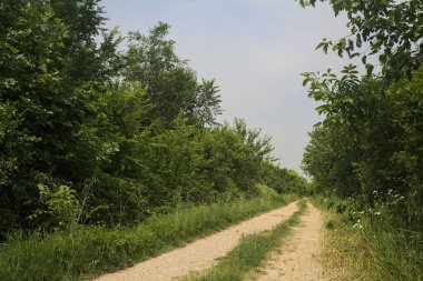 İtalya kırsalında güneşli bir günde yol